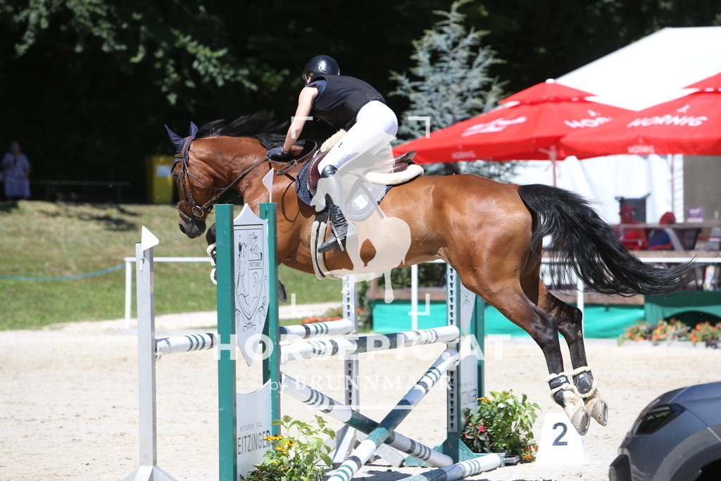 PP014953 | Willkommen bei Brunnmayr - Design & Fotografie – Ihrem Spezialisten für Reitturniere und Pferdeveranstaltungen in Oberösterreich, Salzburg und Bayern! Seit über 17 Jahren sind wir leidenschaftlich dabei.