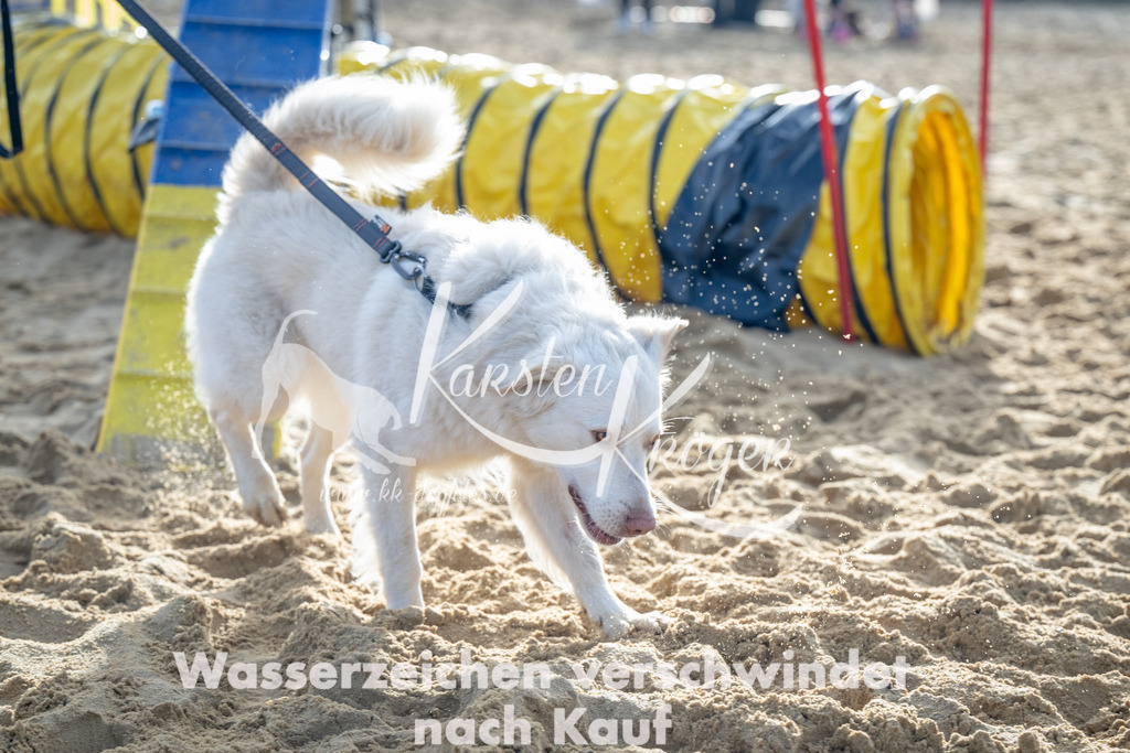 0949_ZZ92856 | kk-dogfotos