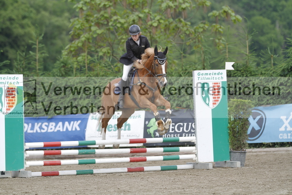 _MG_4254 | equestrian-live-com