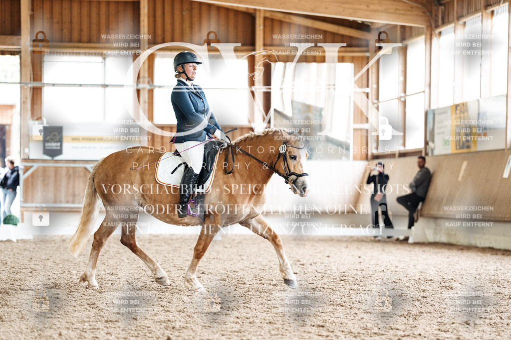 CK900625 | Turnierfotografie Pferdefotografie Trier Rheinland-Pfalz Pferdesport Reitsport Tierfotografie Sportfotografie Pferdevideo Pferdevideografie Equestrianvideography equestrianphotography  - Realisiert mit Pictrs.com