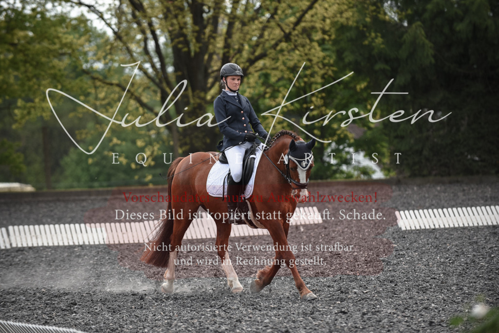 20230513_JK-Röhrsdorf-14-998 | Pferde- und Turnierfotografie in Westsachsen. Pferdeportraits, Auftragszeichnungen und intuitive Kunst.