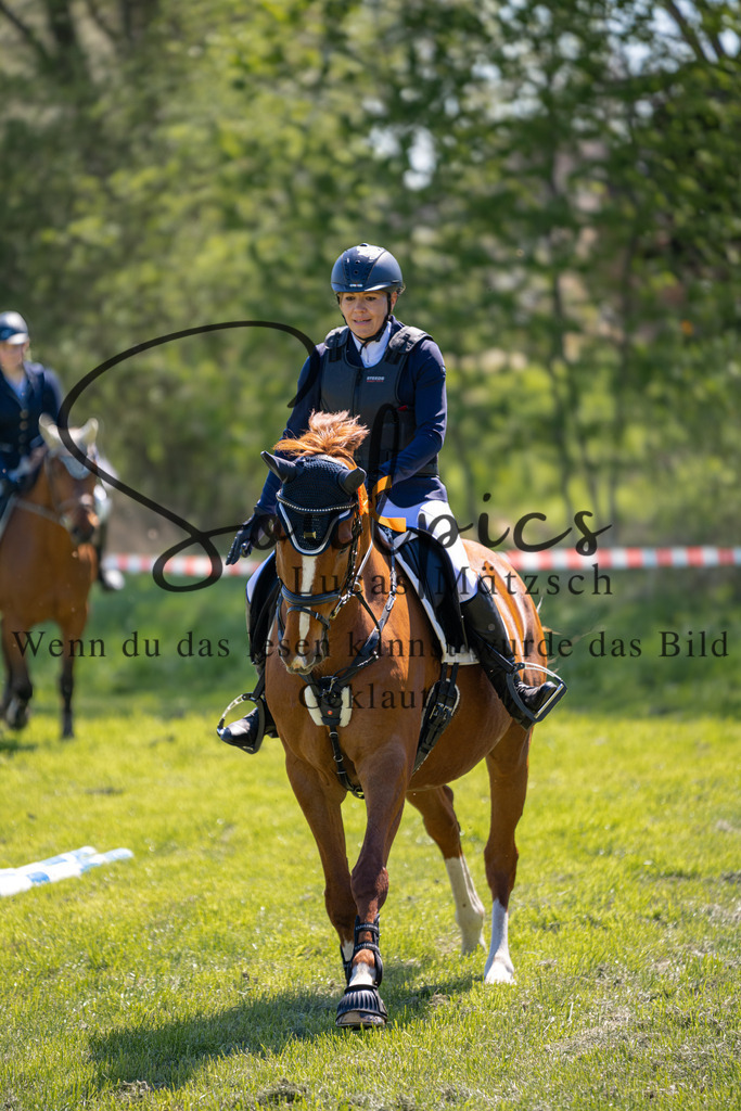 A7V01178 | Pferdefotograf