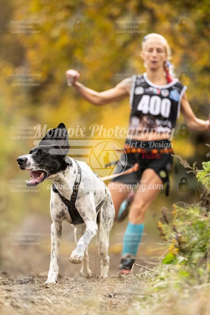 MompixPhotography_ICF_WC_2024_SA_Run_-364 | PayLife