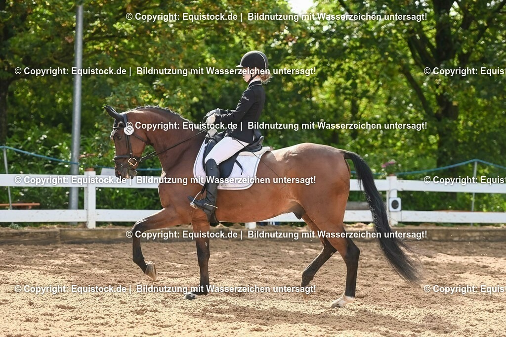 20230716_04_Dressurreiterprüfung Kl.A_0238 | equistock