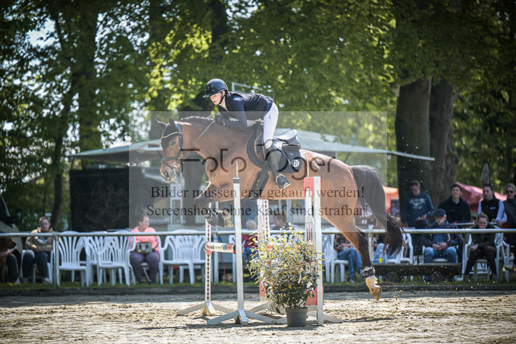DOS_9074 | Entdecke hochwertige Reitturnierfotos von Foto Oger. Professionell, emotional und authentisch – jetzt Lieblingsmomente im Shop bestellen.Deutschlandweite Turnierfotografie. - Realisiert mit Pictrs.com