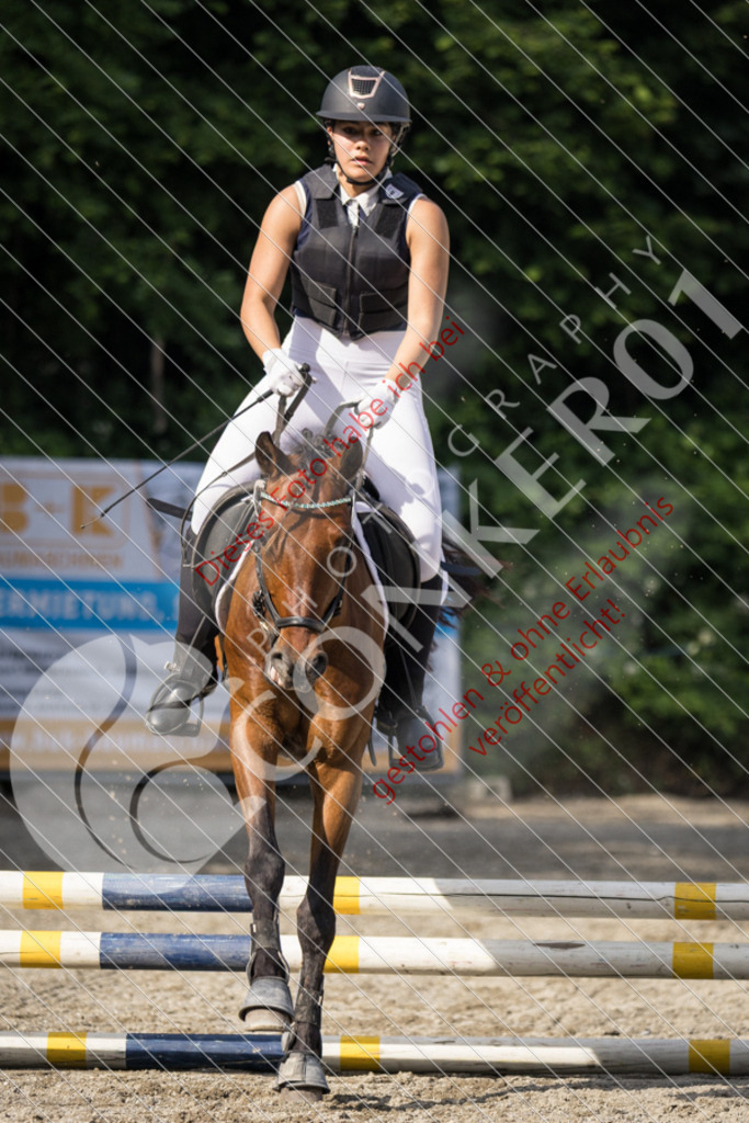 IMG_5951 | Sport-, Event- und Tierfotos in Profiqualität. Einfach auswählen, bestellen und herunterladen. Dein Moment – perfekt festgehalten.