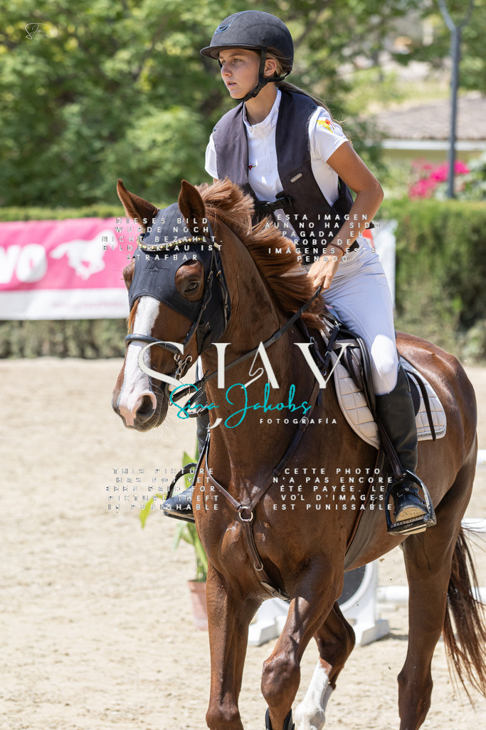 IMG_0599 | s-jay-photography - Realisiert mit Pictrs.com