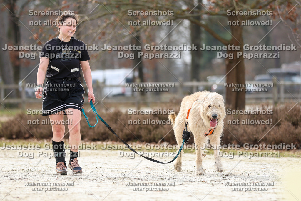 Dog Paparazzi - Strongdog North Mrz26-5786 | Dog Paparazzi Jeanette Grottendiek Fotografie & Videografie - Realisiert mit Pictrs.com