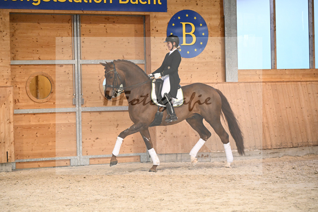 Va Bene_7240997 | hf-fotografie - Realisiert mit Pictrs.com