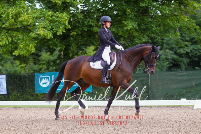 DKP41383 | Turniersportfotografie; Pferdefotografie; Dressurfotografie