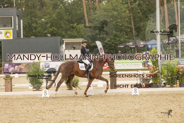 SW 4-757 | mandyhollmannphotographie