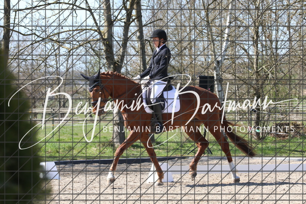 AZ2A4479 | Benjamin Bartmann Photomoments