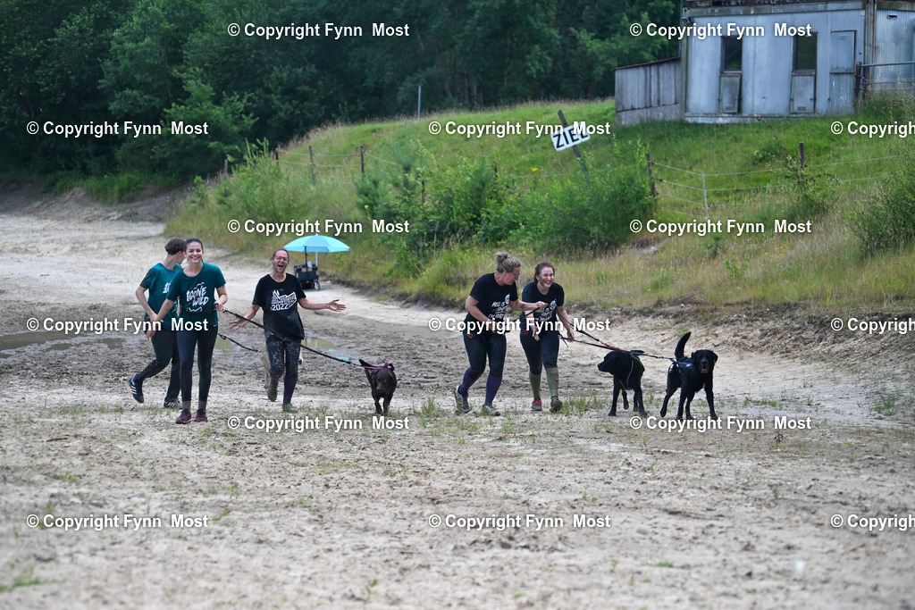 DSC_2789 | Hallo und herzlich Willkommen auf meiner Shop-Seite Fynn Most.

Ich wünsche Dir viel Spaß beim stöbern durch die Bilder, wenn Du Fragen hast oder Bilder vermisst, kannst du mir gerne eine Nachricht schreiben. - Realisiert mit Pictrs.com