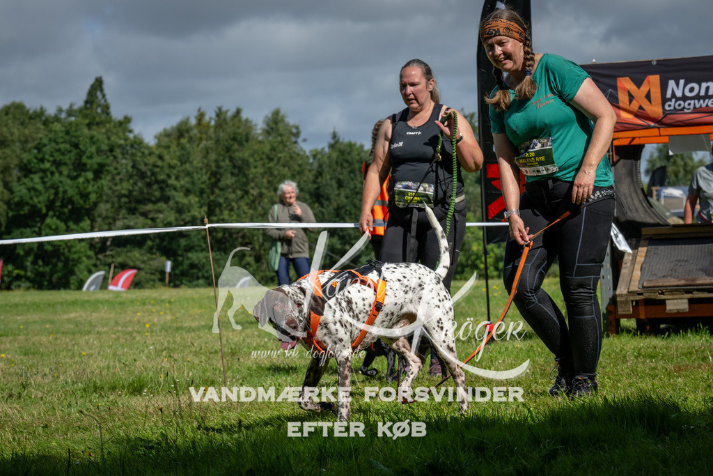 1105_ZZ91849 | kk-dogfotos