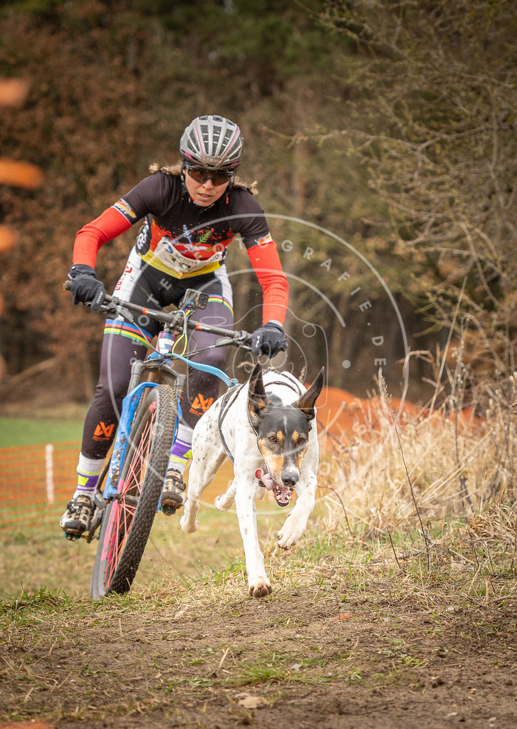 DV3A0792 | Hundefotografie, Tierfotograf, Pfotenfotografie, Fotoshooting Hund, Hunde Portrait, Hundesport, Hundeportraits, Heideshooting, Hunde, Sportfotograf, Hundefotograf, Turnierhundsport, THS,  - Realisiert mit Pictrs.com