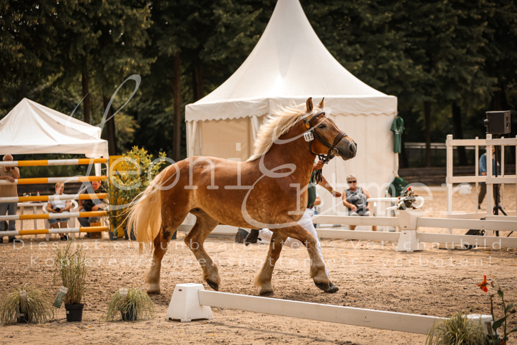 4.Sa00073 | Leoni Ertmer Photography - Realisiert mit Pictrs.com