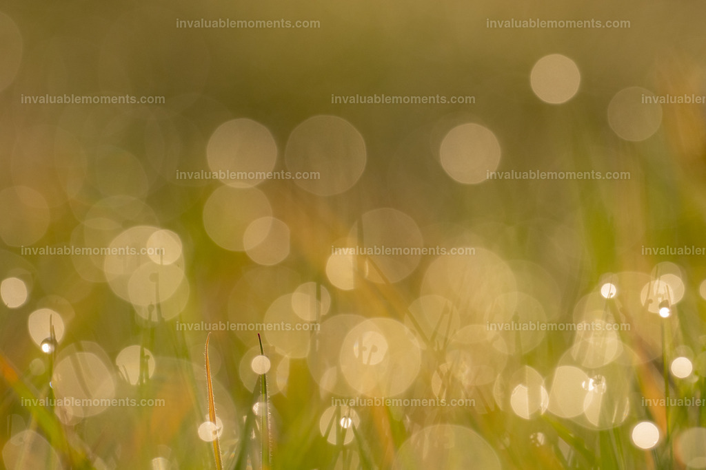 DSC_2872 | invaluablemoments.com - Realisiert mit Pictrs.com