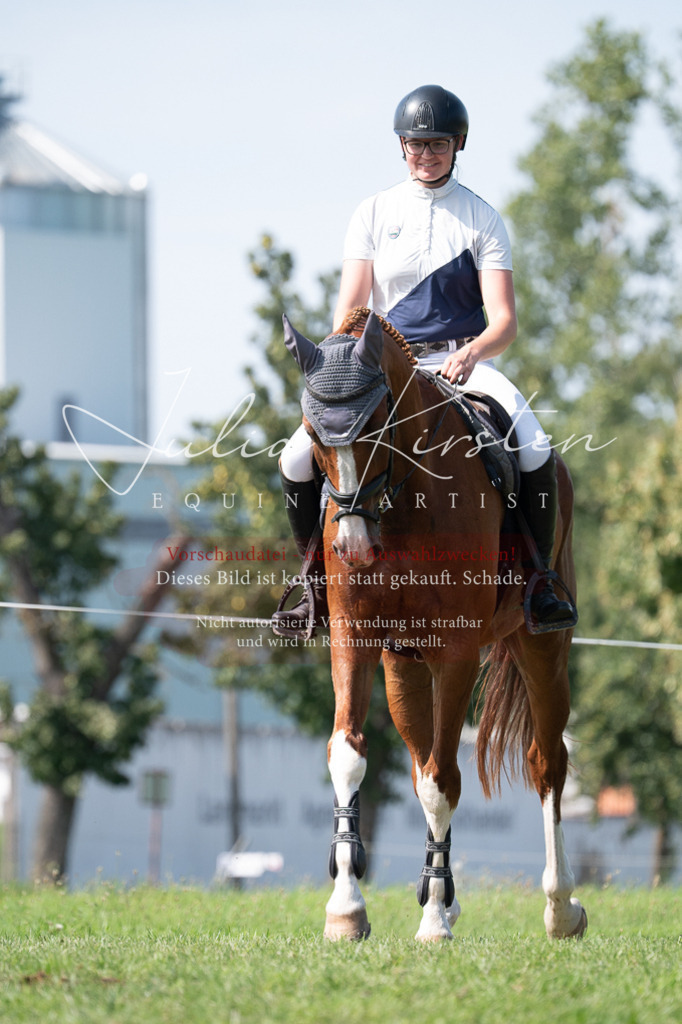 DSC_0904 | Pferde- und Turnierfotografie in Westsachsen. Pferdeportraits, Auftragszeichnungen und intuitive Kunst.