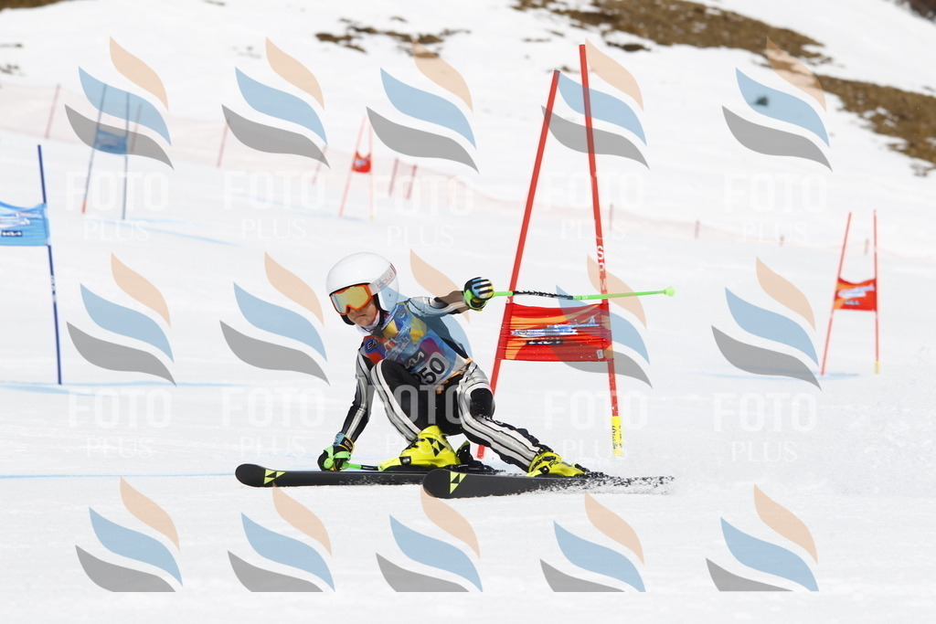 _U3G6326 | holidayphoto