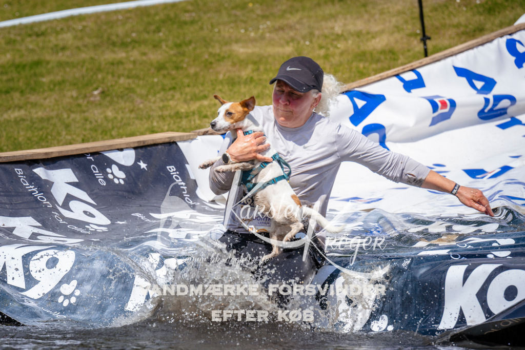 _ZZ978761032 | kk-dogfotos