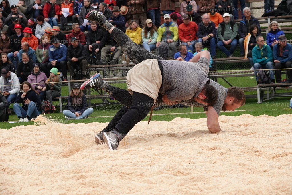 DSC03230 | Schwingen - Realisiert mit Pictrs.com