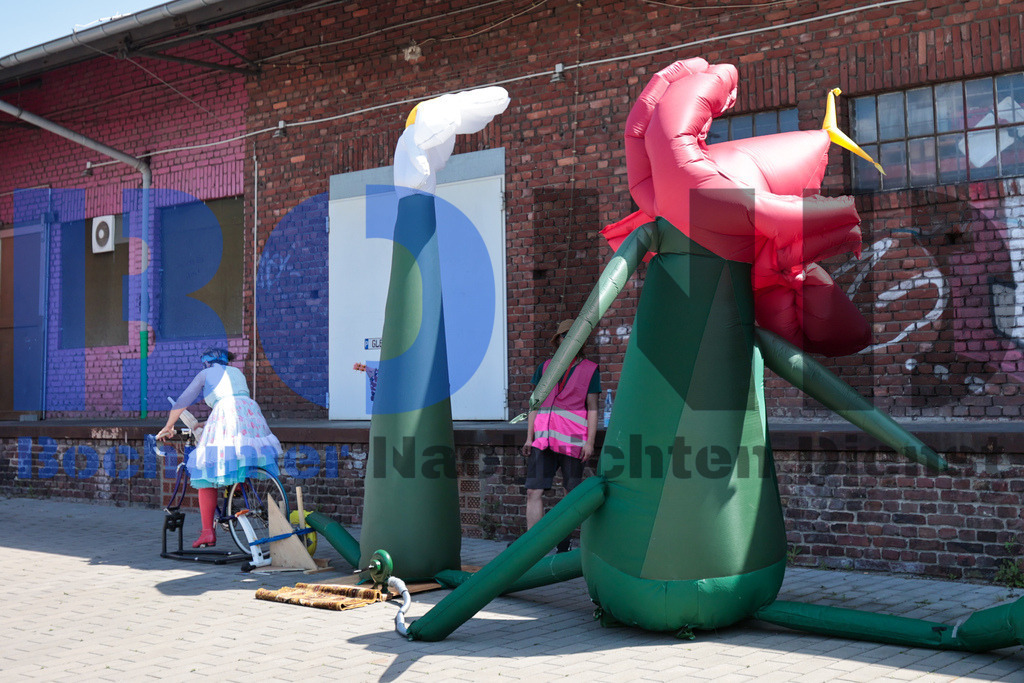 SES_BOBIEN20250619-2 | bond - Realisiert mit Pictrs.com