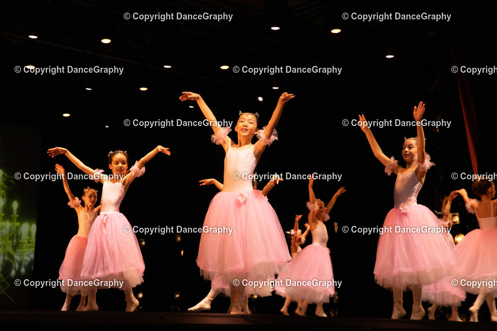 GPHY4681 | DanceGraphy - Realisiert mit Pictrs.com