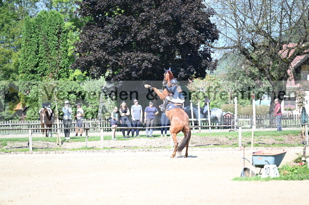 DSC_8288 | equestrian-live-com