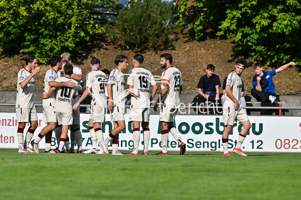 TSV Aindling - TSV Hollenbach | Jubel nach 1-0 durch Aindling 9