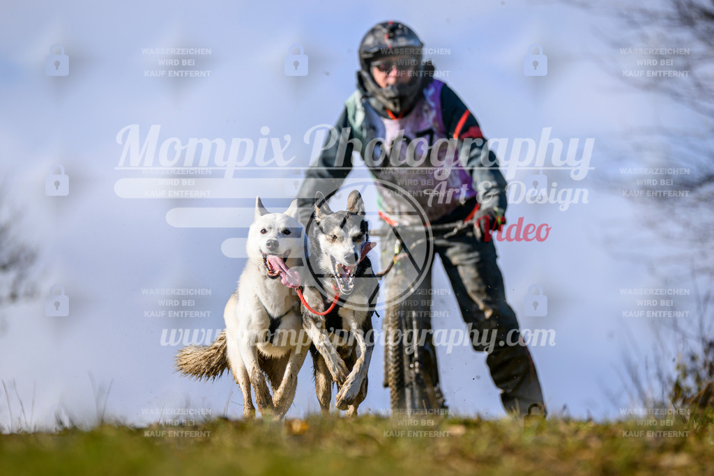 MompixPhotography_2OATB_SO_Scooter-18 | PayLife