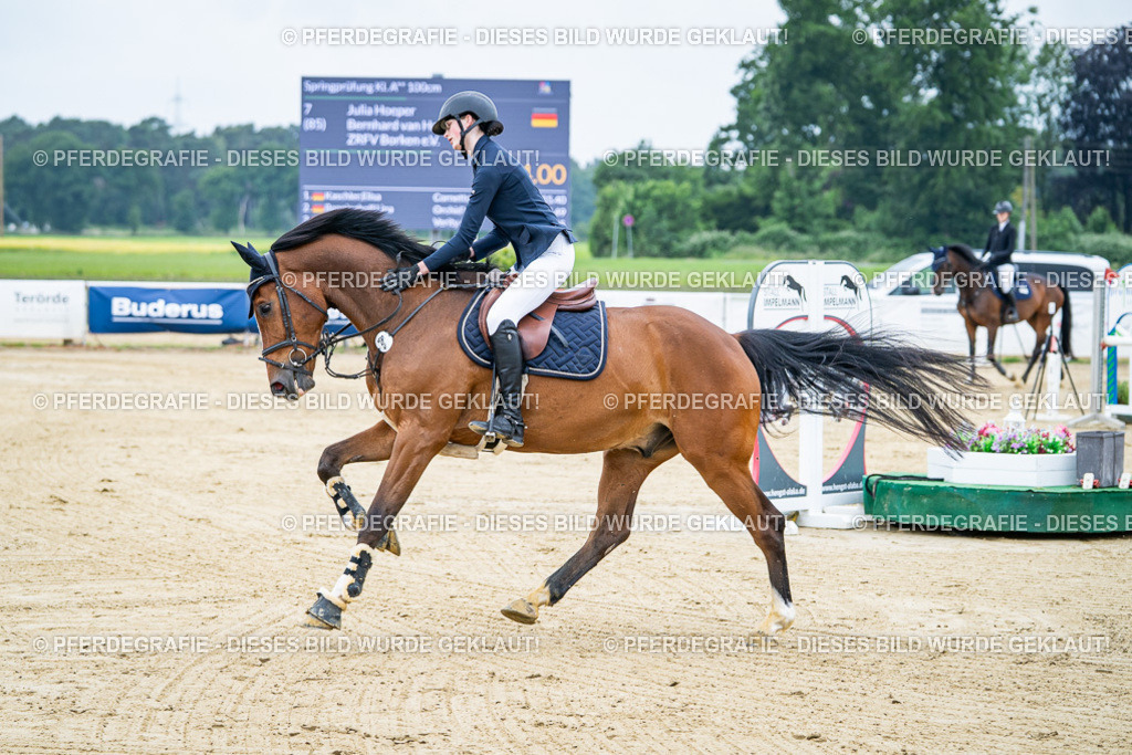 DSC03433 | Pferdegrafie