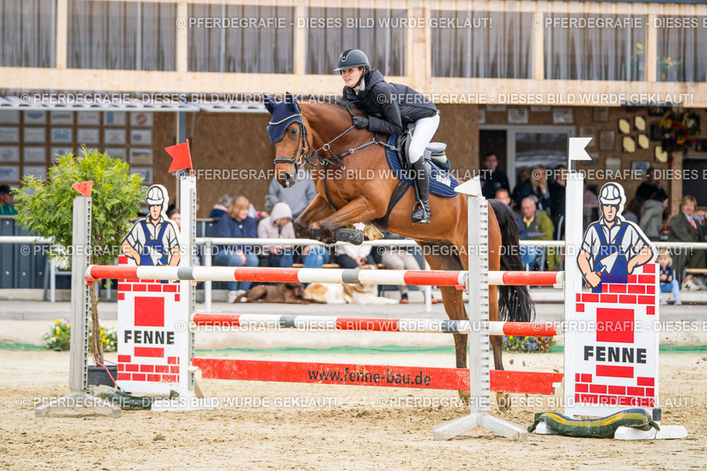 DSC02260 | Pferdegrafie