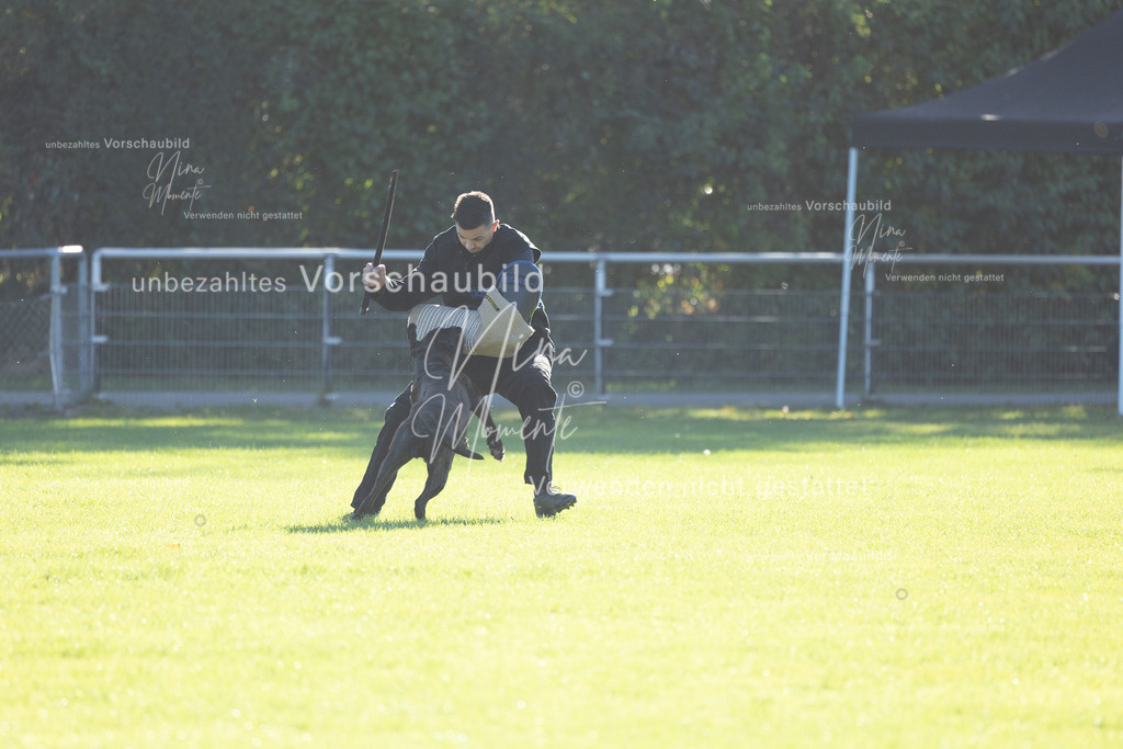 _16A4898 | Einzigartige Fotos von Hunden & Menschen –Actionfotos, Portraits, Vereinsaufnahmen & Paarshootings – authentisch, lebendig & mit Herz.