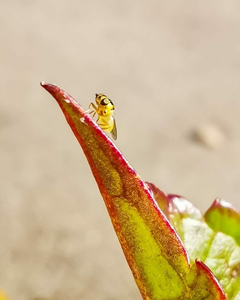 PSX_20221111_235008 | mtkfoto_ - Realisiert mit Pictrs.com