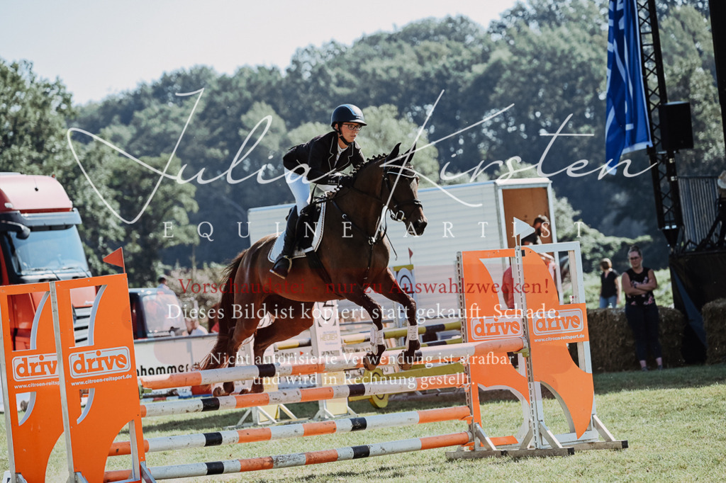 DSC_5579 | Pferde- und Turnierfotografie in Westsachsen. Pferdeportraits, Auftragszeichnungen und intuitive Kunst.