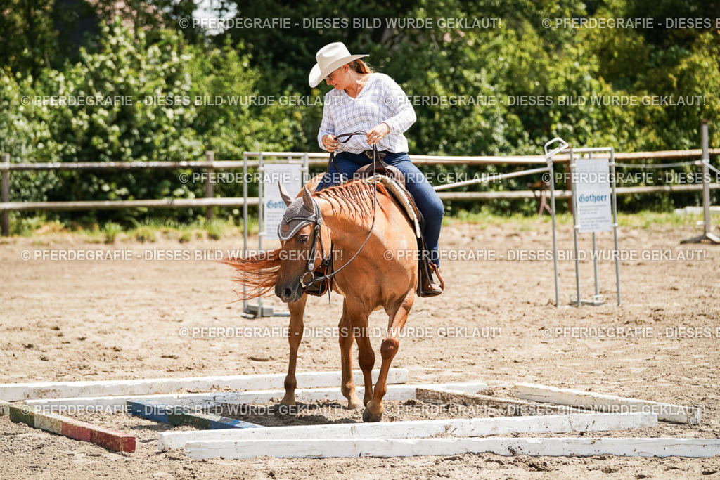 DSC07782 | Pferdegrafie