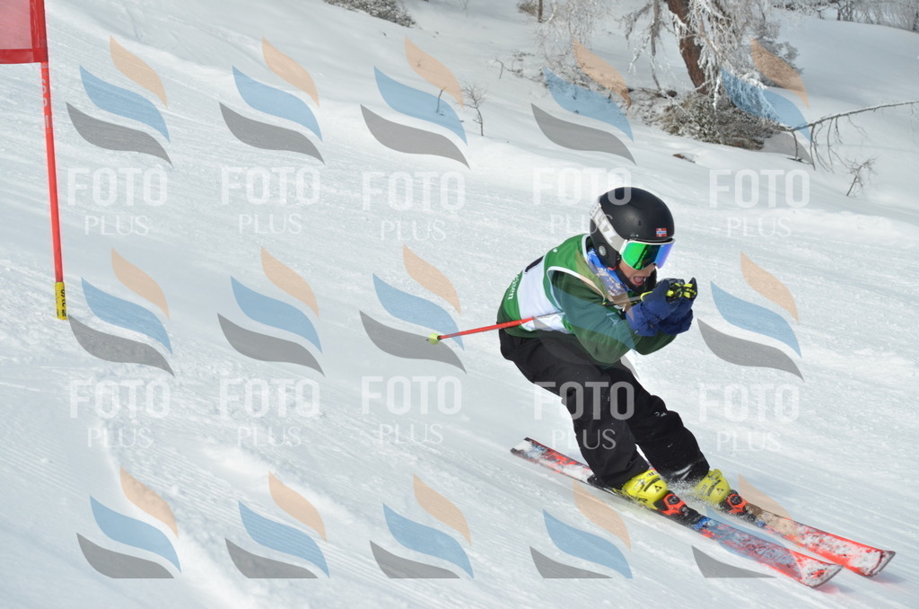 D8717 | holidayphoto