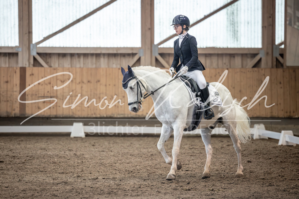 20251011-_3LI7096 | Tierfotografie Pferde, Hunde, Katzen, Haustiere.
Turnierfotografie Reitturniere, Reiten, Springreiten, Dressur in Hanau, dem Main-Kinzig-Kreis und dem Rhein-Main- Gebiet um Frankfurt