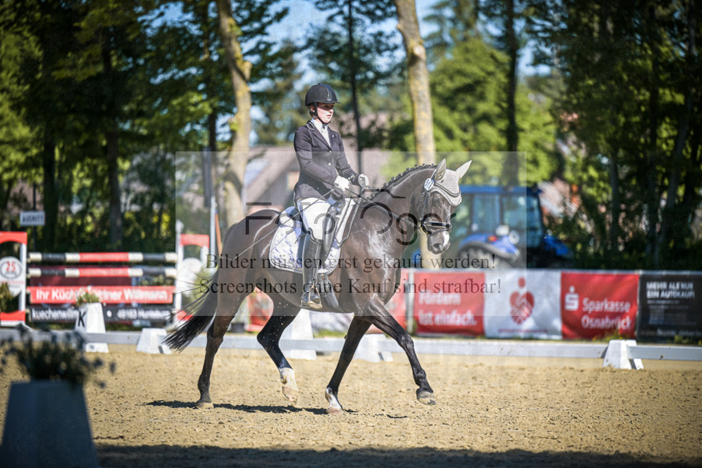 DOS_7292 | Entdecke hochwertige Reitturnierfotos von Foto Oger. Professionell, emotional und authentisch – jetzt Lieblingsmomente im Shop bestellen.Deutschlandweite Turnierfotografie. - Realisiert mit Pictrs.com