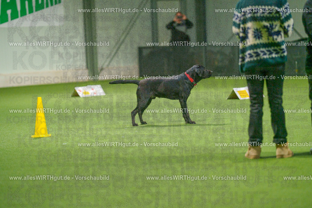 7R508448 | Professionelle Tierfotografie in Mönchengladbach von Daniel Wirth (allesWIRTHgut). Liebevolle & natürliche Bilder von Hunden & Katzen für unvergessliche Erinnerungen.