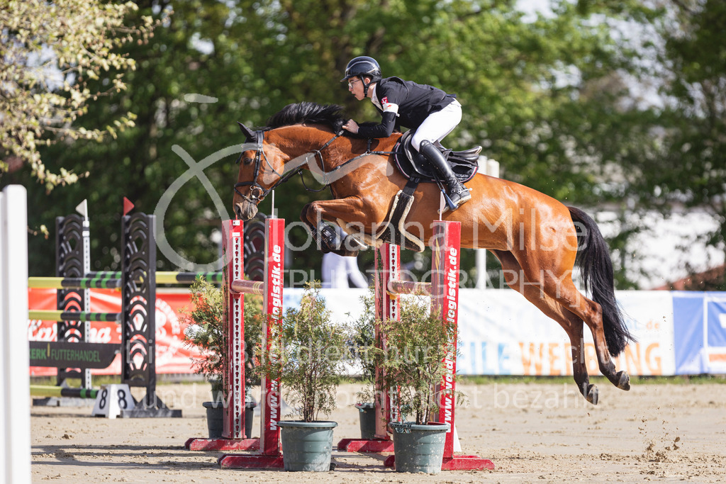 260503_Spenge_7_M2-Spr-m-steig-Anf-730 | Deine schönsten Turniermomente als professionelle Fotos! Entdecke hochwertige Pferdesport-Fotografie im Online-Shop. Jetzt Fotos finden & bestellen!