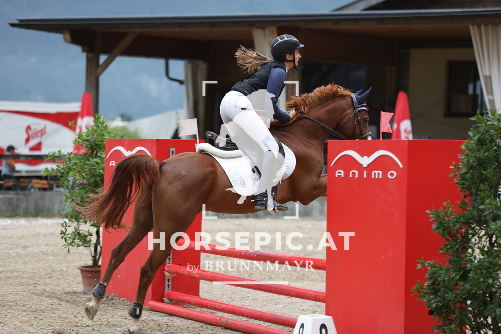 0P6A0141 | Willkommen bei Brunnmayr - Design & Fotografie – Ihrem Spezialisten für Reitturniere und Pferdeveranstaltungen in Oberösterreich, Salzburg und Bayern! Seit über 17 Jahren sind wir leidenschaftlich dabei.
