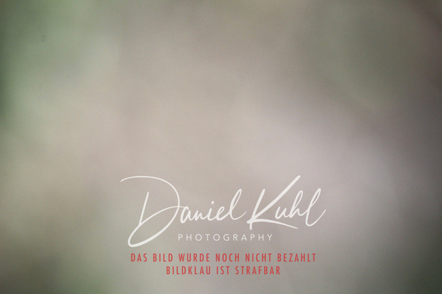 DKP41446 | Turniersportfotografie; Pferdefotografie; Dressurfotografie