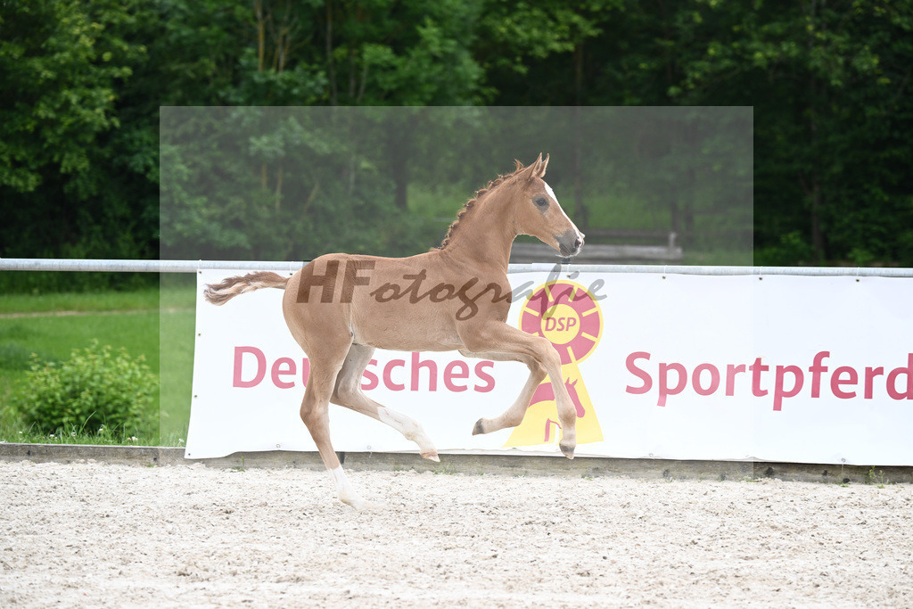 Vivaldos x Belissimo M_HF_Baier_20240263 | hf-fotografie - Realizzato con Pictrs.com