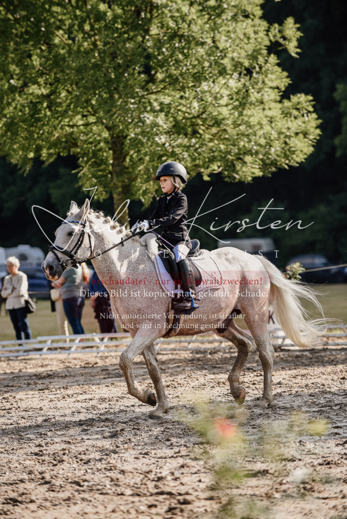 DSC_8398 | Pferde- und Turnierfotografie in Westsachsen. Pferdeportraits, Auftragszeichnungen und intuitive Kunst.