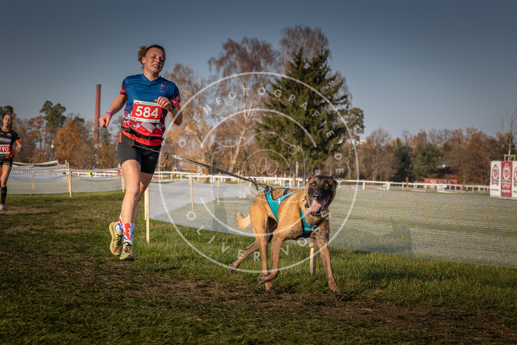CaniXpix_0L8A9908 | Hundefotografie, Tierfotograf, Pfotenfotografie, Fotoshooting Hund, Hunde Portrait, Hundesport, Hundeportraits, Heideshooting, Hunde, Sportfotograf, Hundefotograf, Turnierhundsport, THS,  - Realisiert mit Pictrs.com