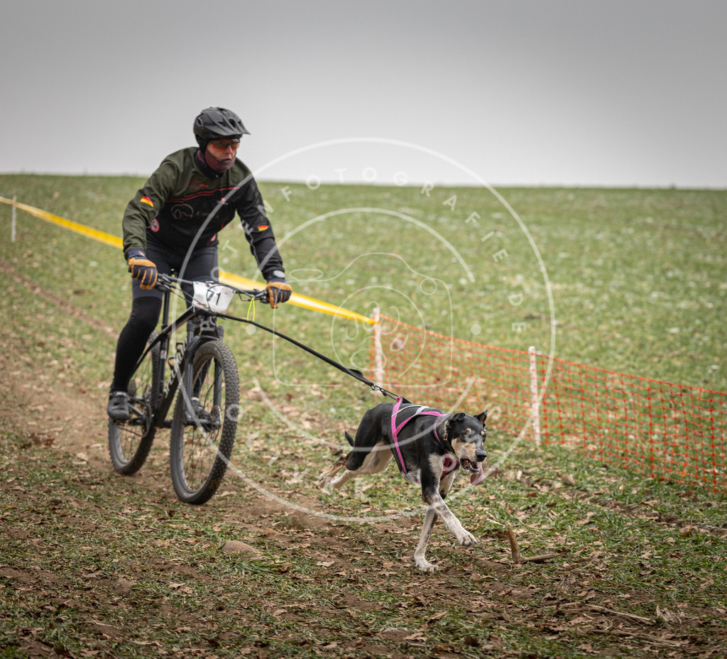 Pfotenfotografie_DV3A3181 | Hundefotografie, Tierfotograf, Pfotenfotografie, Fotoshooting Hund, Hunde Portrait, Hundesport, Hundeportraits, Heideshooting, Hunde, Sportfotograf, Hundefotograf, Turnierhundsport, THS,  - Realisiert mit Pictrs.com