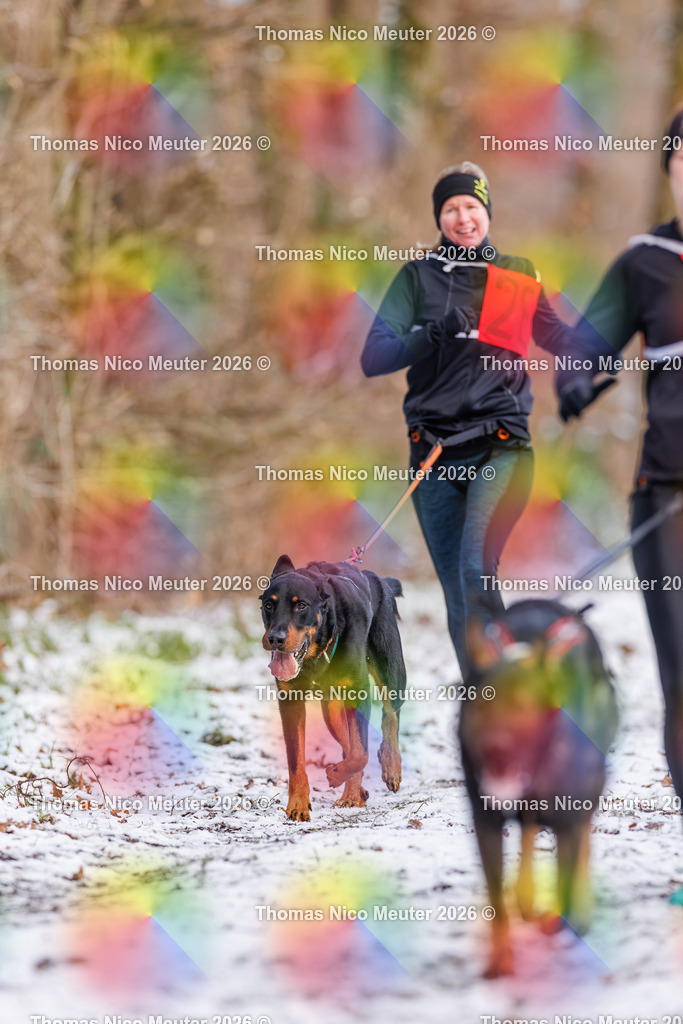 Thomas_Nico_Meuter(C)_223A8530 | Bild von Thomas Nico Meuter - Realisiert mit Pictrs.com