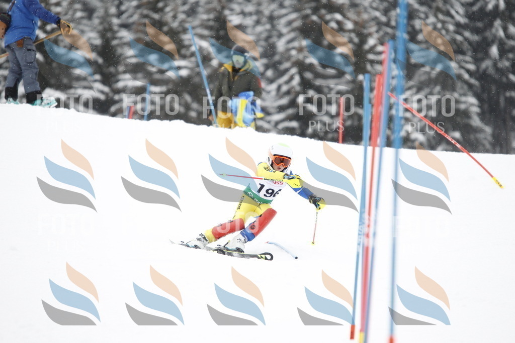 A2035 | holidayphoto