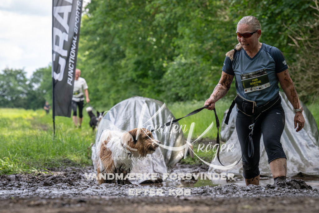 1254_ZZ94151 | kk-dogfotos